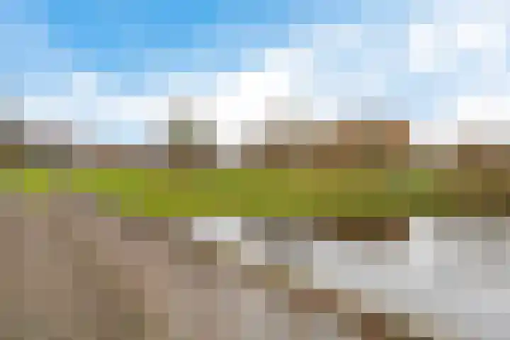 Willem Lodewijklaan 50 Heerenveen thumbnail 40