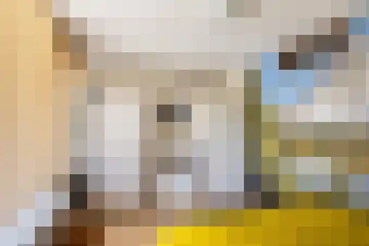 Willem Lodewijklaan 67 Vlaardingen thumbnail 16