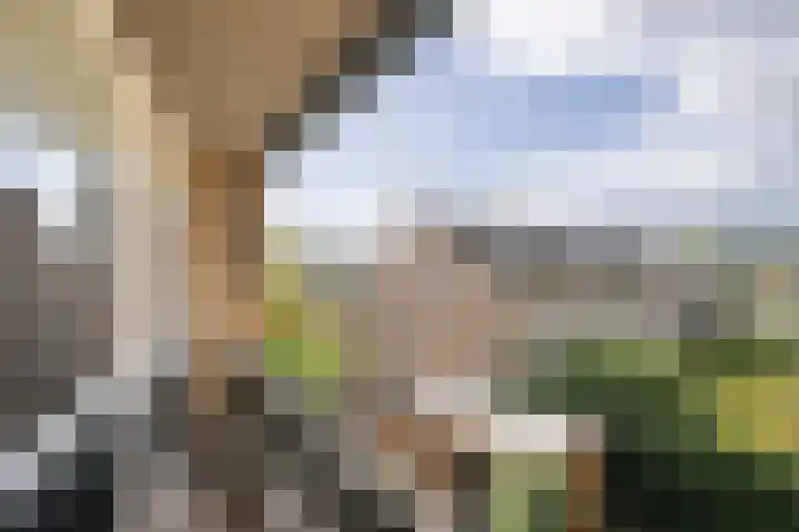 Willem Lodewijklaan 67 Vlaardingen thumbnail 23