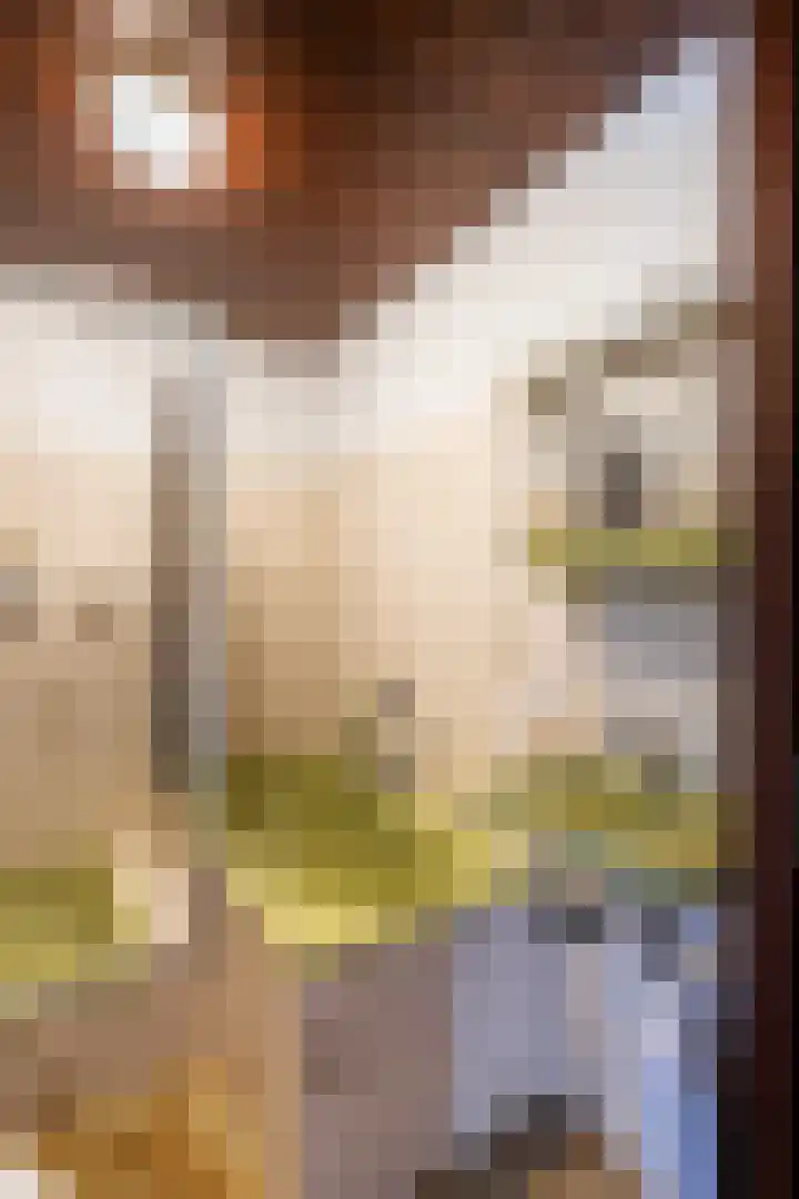 Willem Lodewijklaan 67 Vlaardingen thumbnail 33
