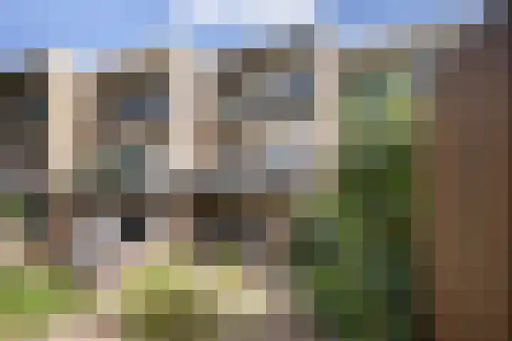 Willem Lodewijklaan 67 Vlaardingen thumbnail 36