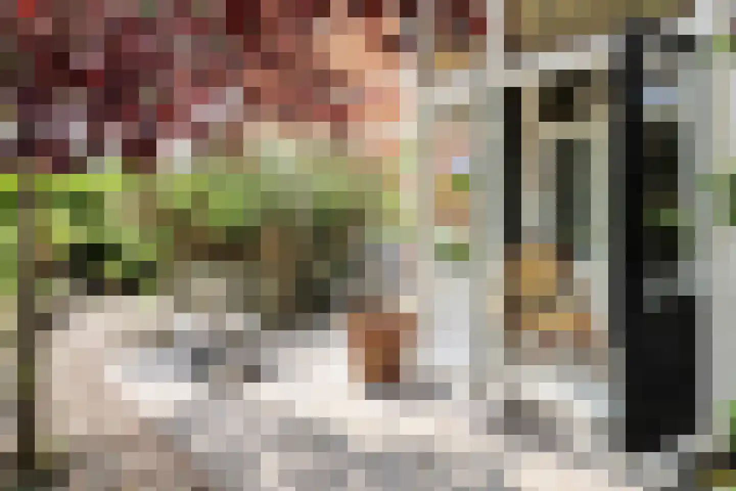 Willem Lodewijkstraat 131 Leeuwarden thumbnail 70