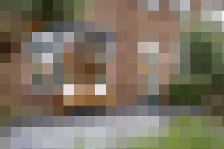 Willem Lodewijkstraat 15 Sneek thumbnail 10