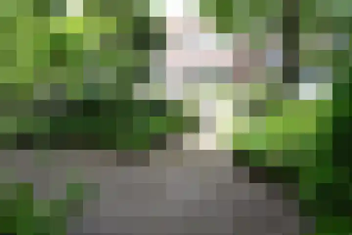 Willem Lodewijkstraat 16 Sneek thumbnail 5