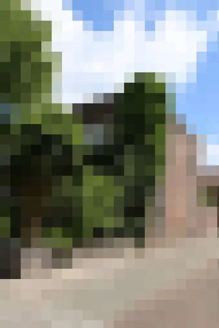 Willem Lodewijkstraat 16 Sneek thumbnail 6