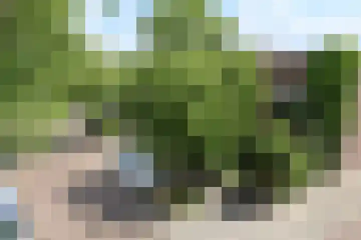 Willem Lodewijkstraat 16 Sneek thumbnail 7