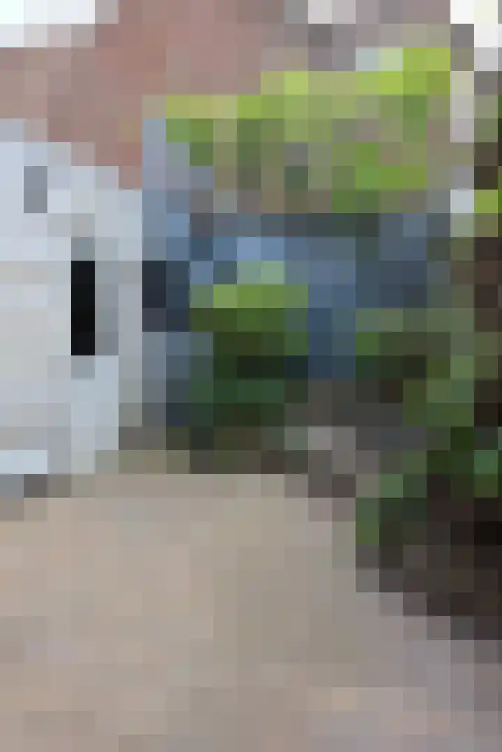 Willem Lodewijkstraat 16 Sneek thumbnail 9