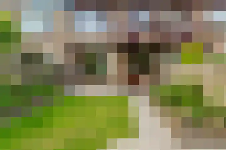 Willem Lodewijkstraat 21 Castricum thumbnail 34