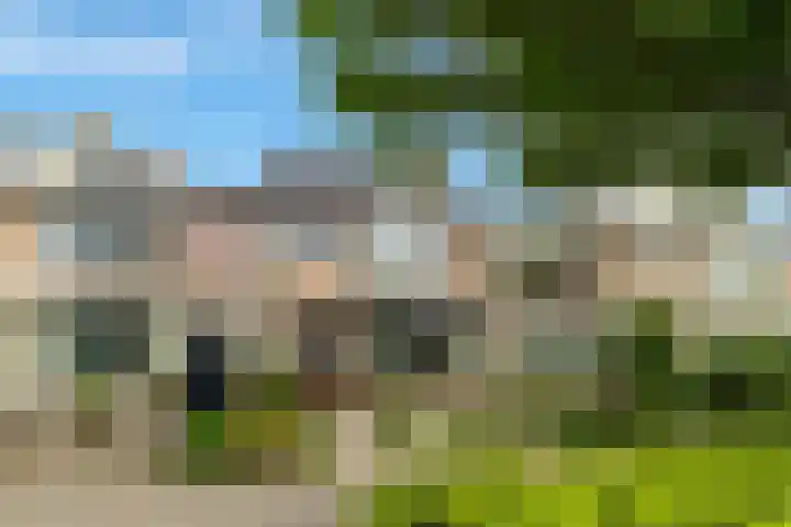 Willem Lodewijkstraat 21 Castricum thumbnail 38