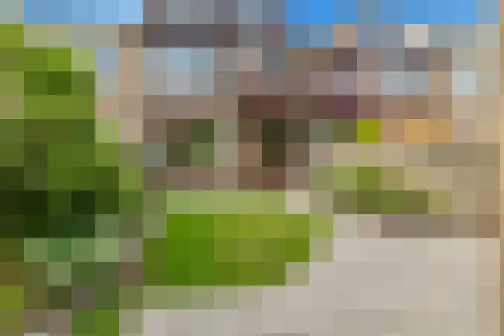 Willem Lodewijkstraat 21 Castricum thumbnail 4