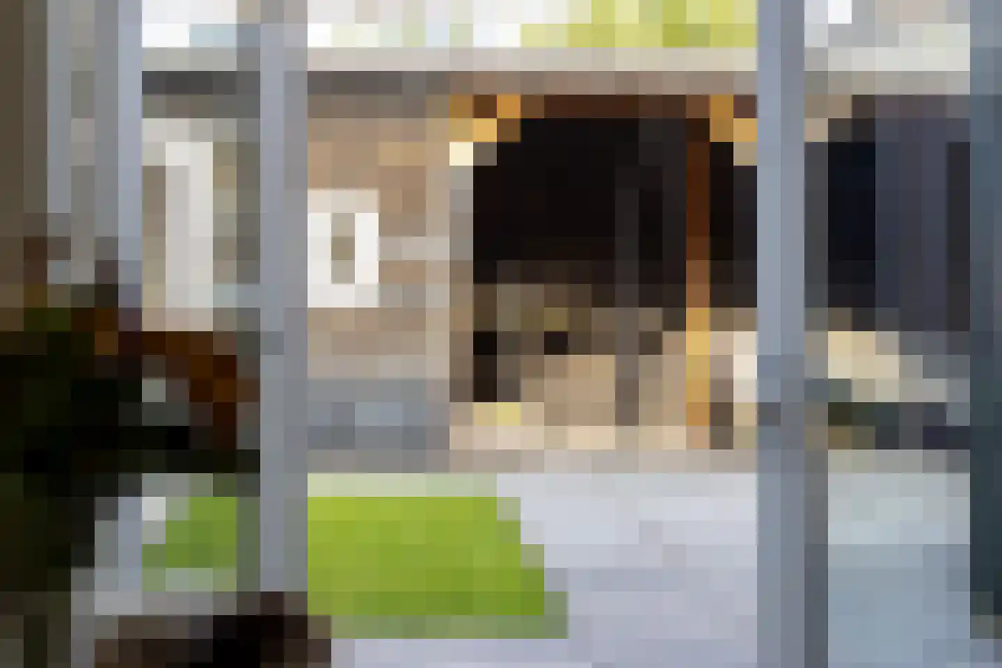 Willem Lodewijkstraat 47 Sneek thumbnail 23