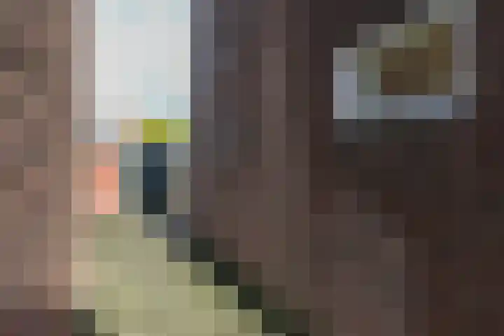 Willem Lodewijkstraat 51 Sneek thumbnail 32