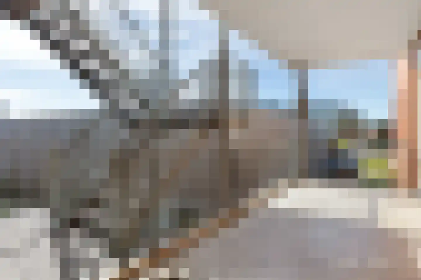 Willem Lodewijkstraat 61 Kollum thumbnail 33