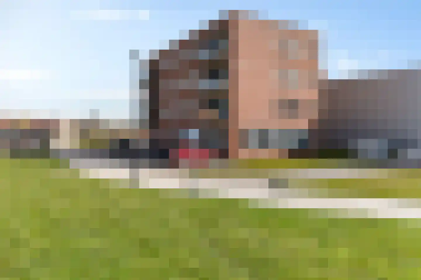 Willem Lodewijkstraat 61 Kollum thumbnail 40