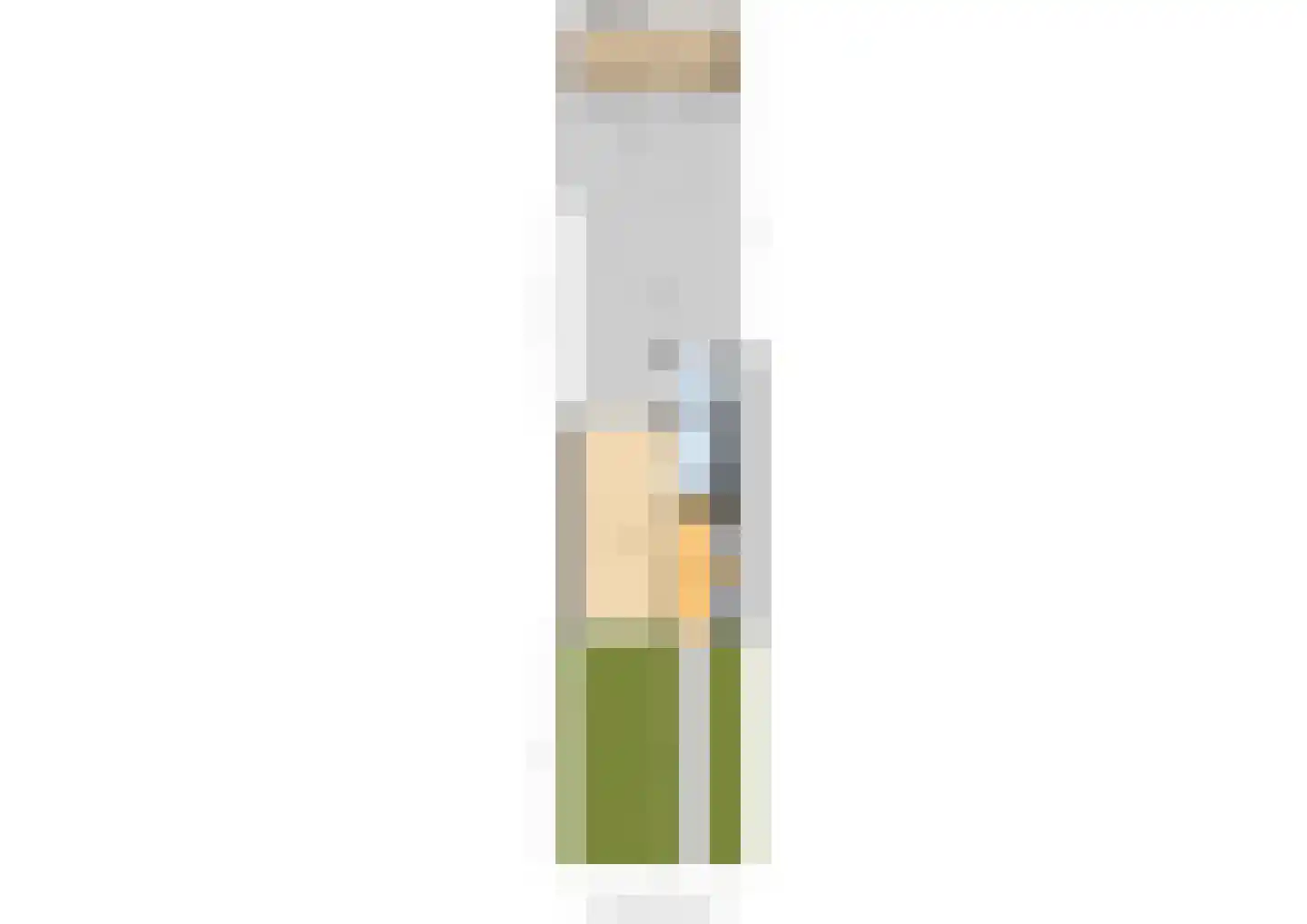 Willem Lodewijkstrjitte 13 Kootstertille thumbnail 55