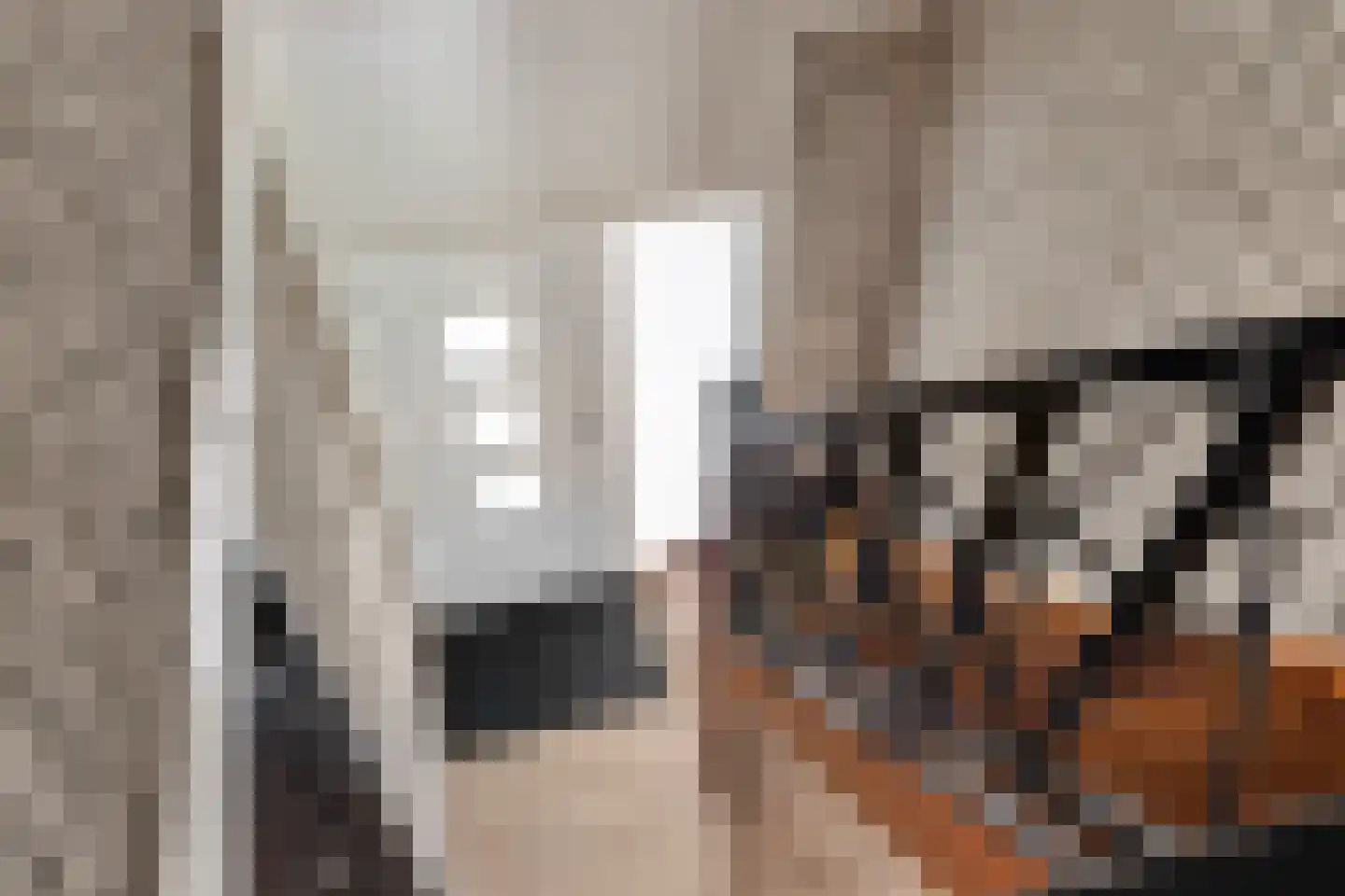 Willem Lodewijkstrjitte 4 Kootstertille thumbnail 24