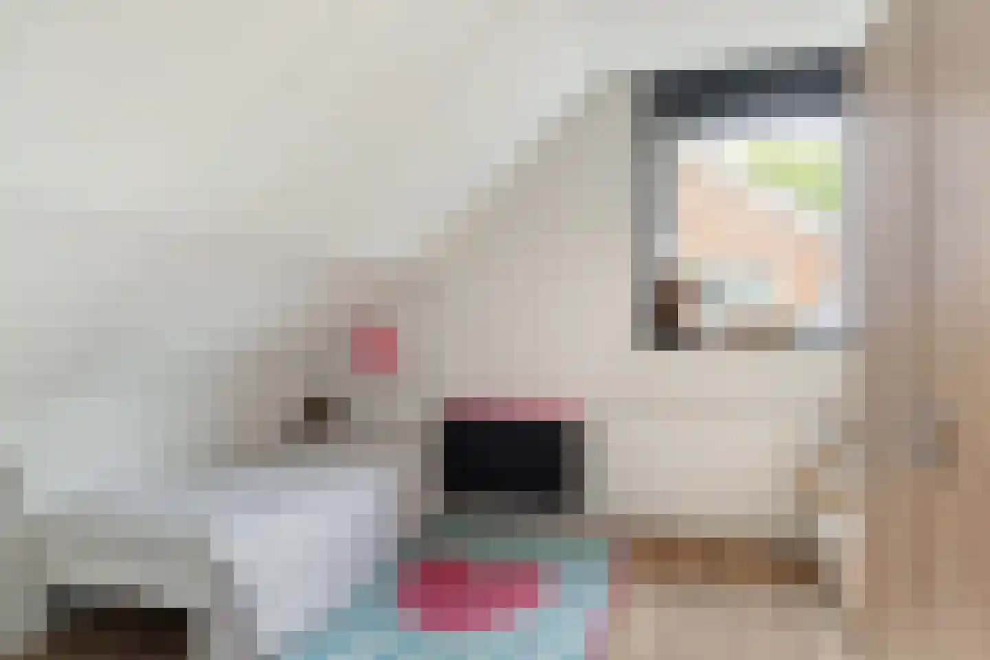 Willem Lodewijkstrjitte 4 Kootstertille thumbnail 28
