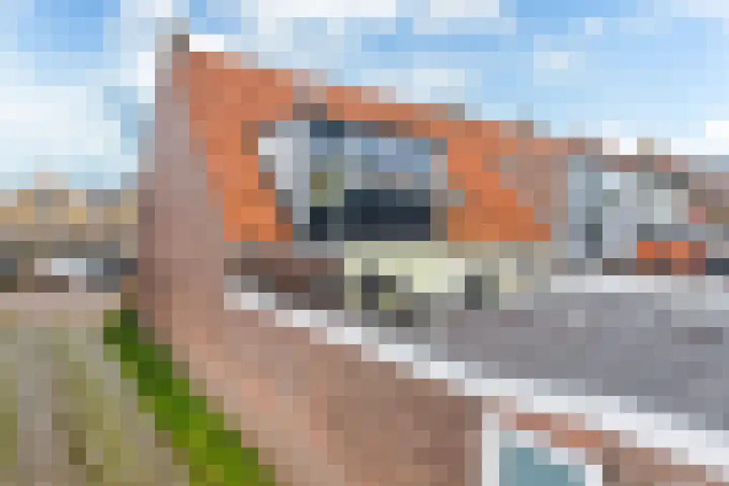 Willem Loréstraat 67 Leeuwarden thumbnail 27