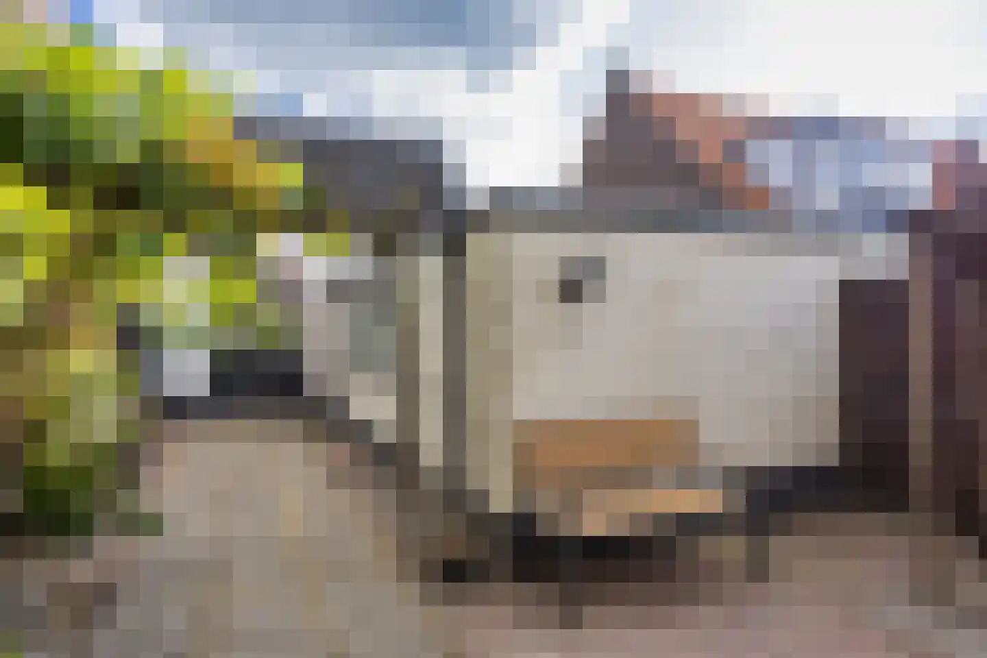Willem Loréstraat 69 Leeuwarden thumbnail 31