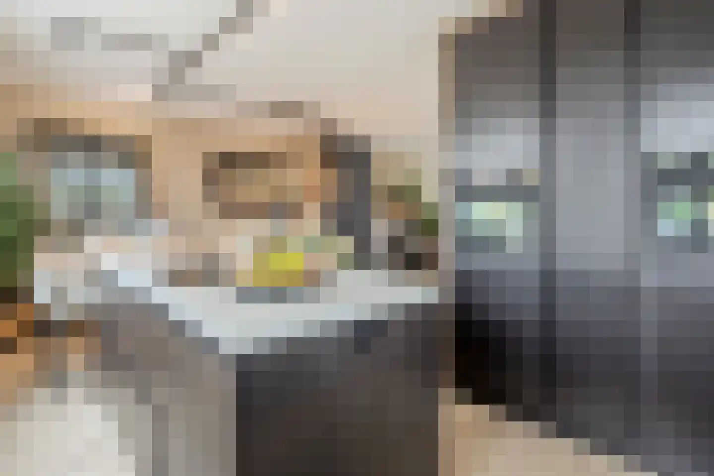 Willem Maarsehof 33 Rijsenhout thumbnail 11