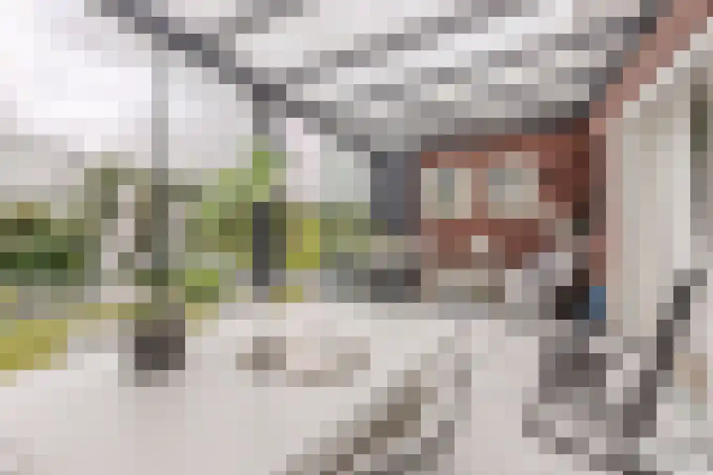 Willem Maarsehof 33 Rijsenhout thumbnail 17