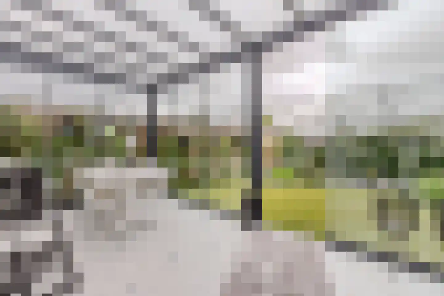 Willem Maarsehof 33 Rijsenhout thumbnail 18