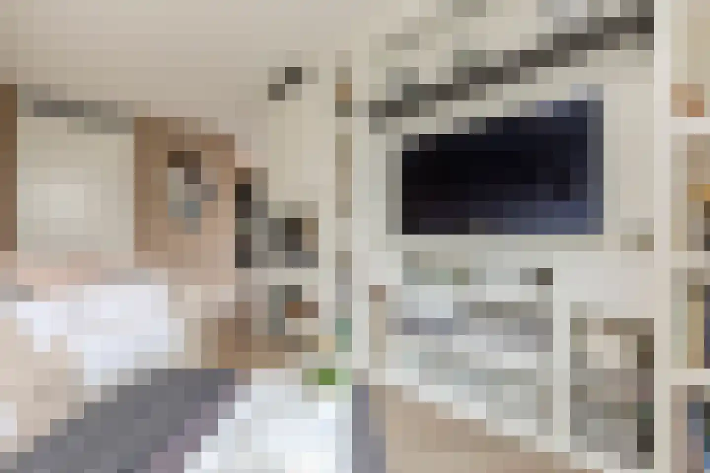 Willem Maarsehof 33 Rijsenhout thumbnail 22