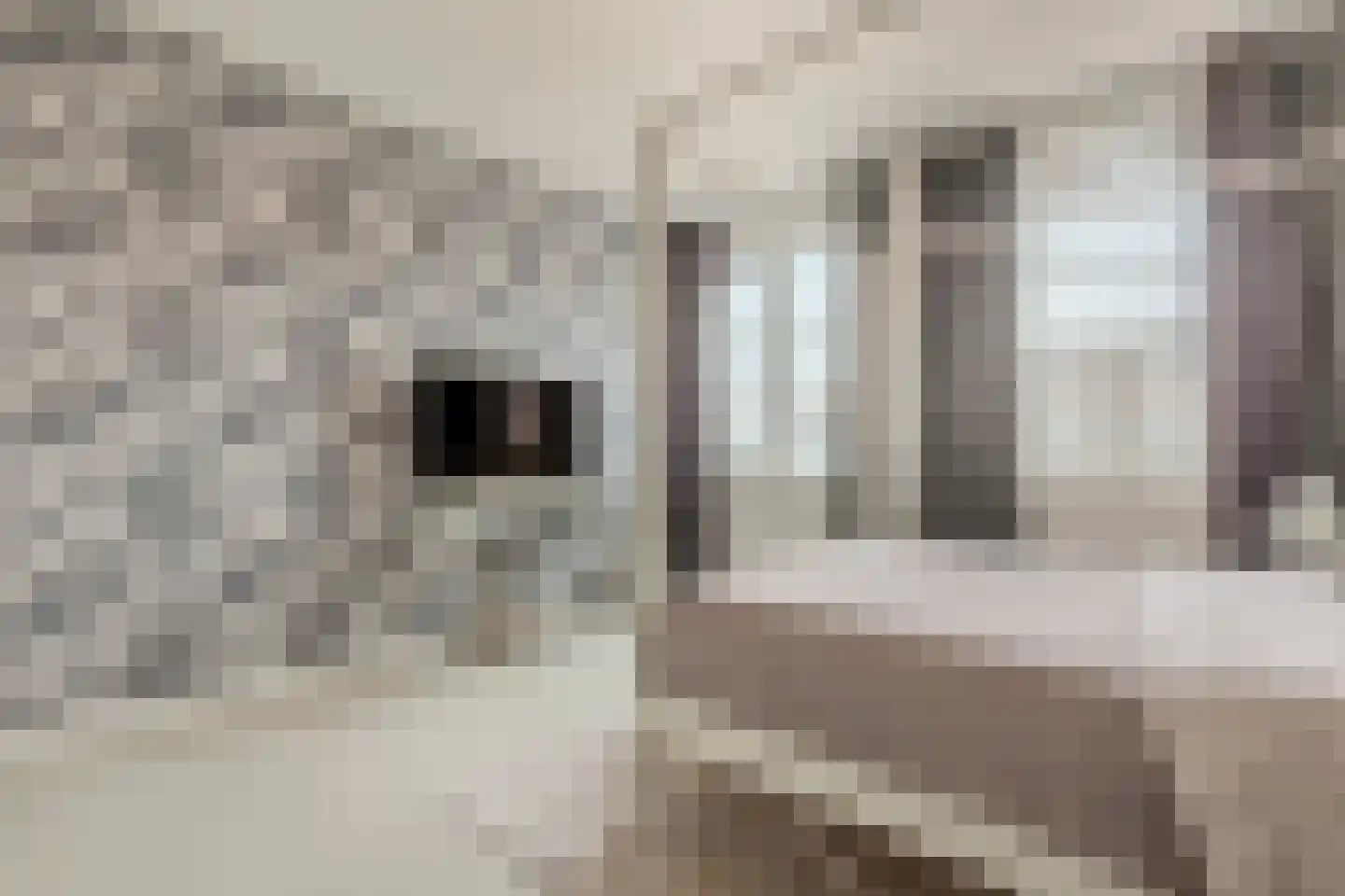 Willem Maarsehof 33 Rijsenhout thumbnail 34
