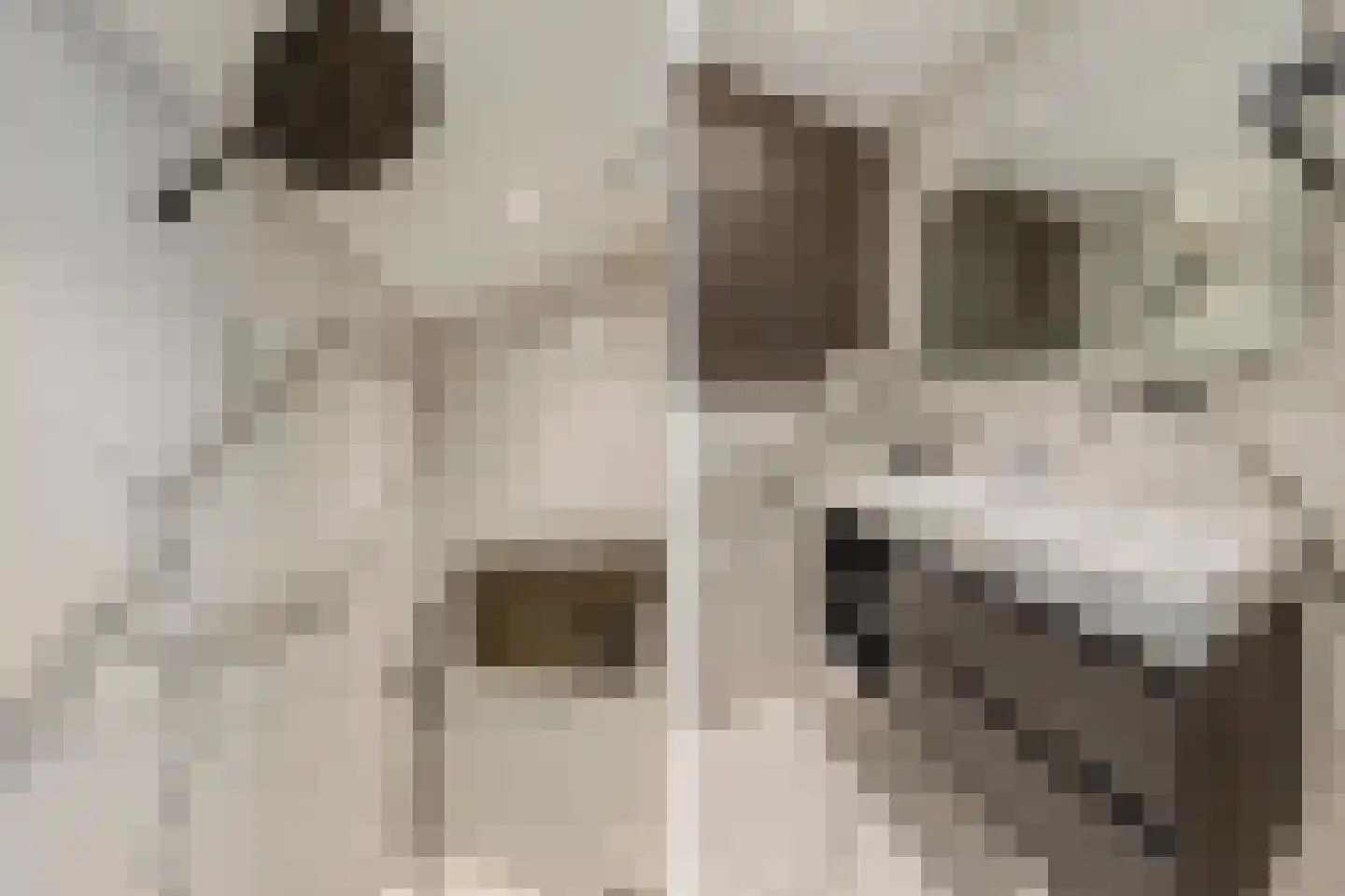 Willem Maarsehof 33 Rijsenhout thumbnail 37