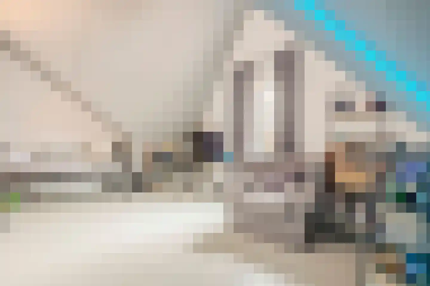 Willem Maarsehof 33 Rijsenhout thumbnail 40