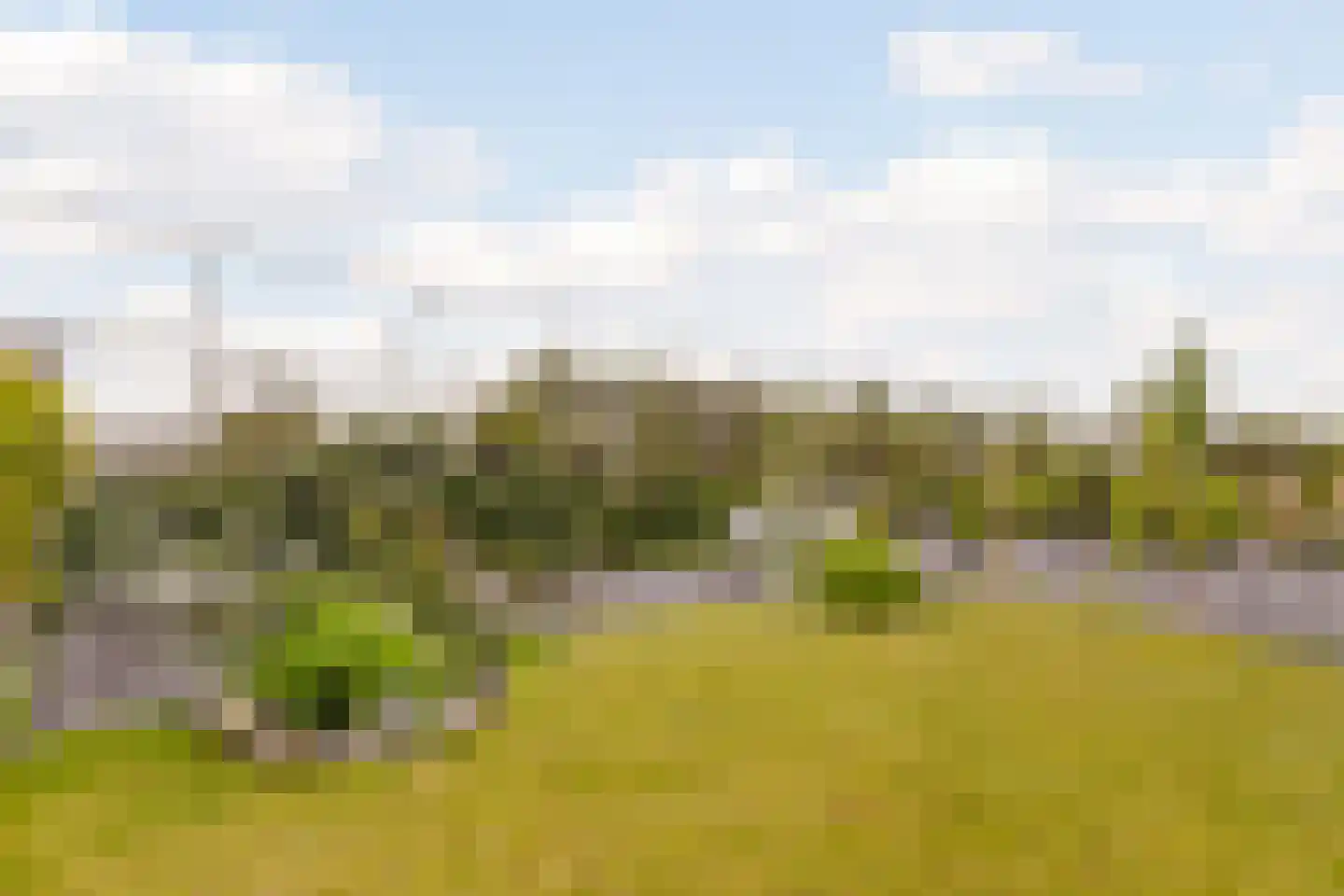 Willem Maarsehof 33 Rijsenhout thumbnail 42