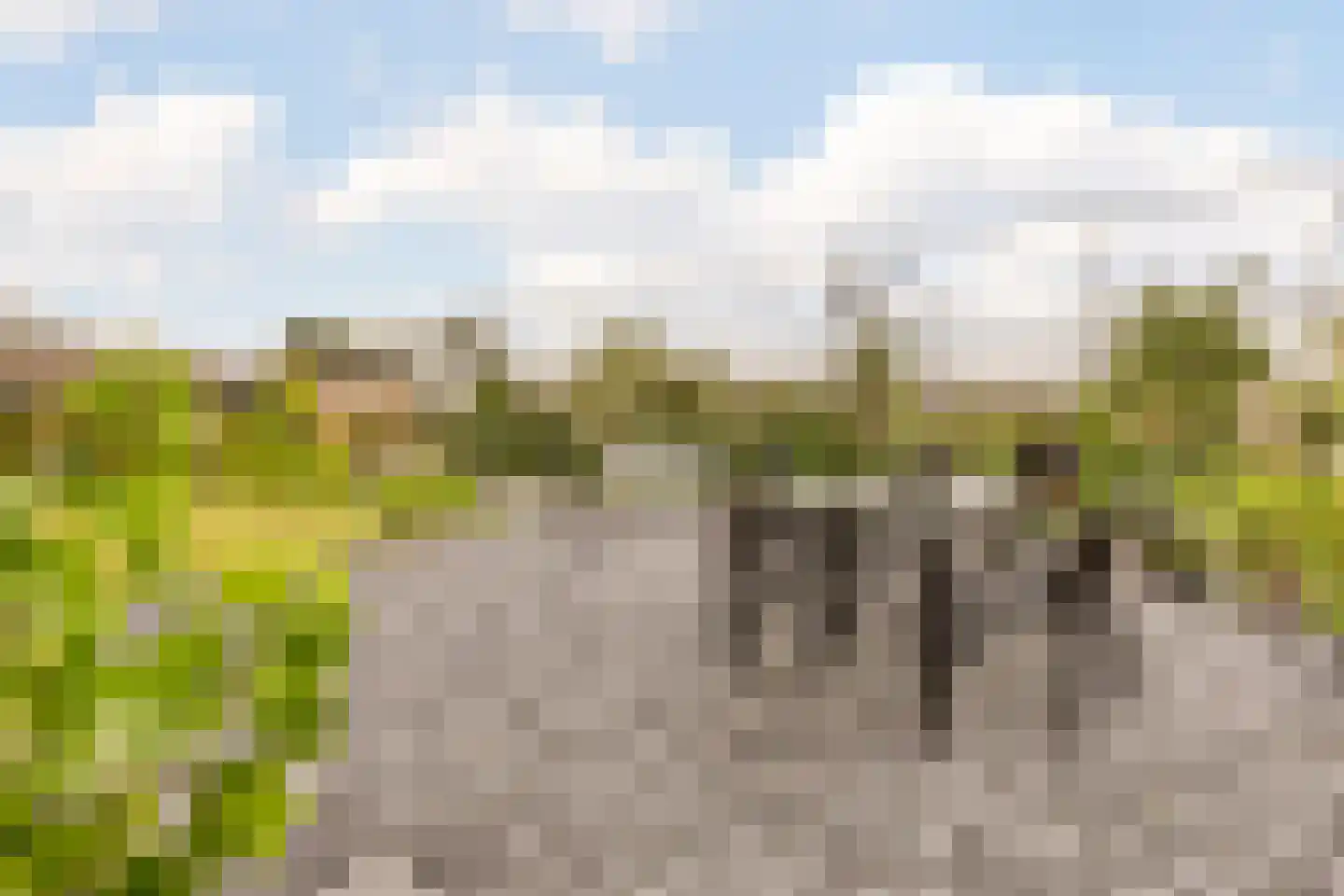 Willem Maarsehof 33 Rijsenhout thumbnail 43