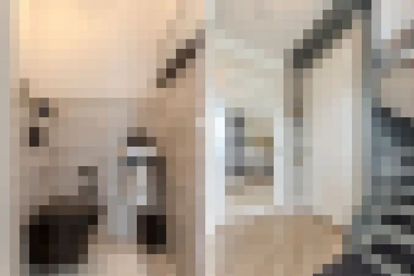 Willem Maarsehof 33 Rijsenhout thumbnail 5