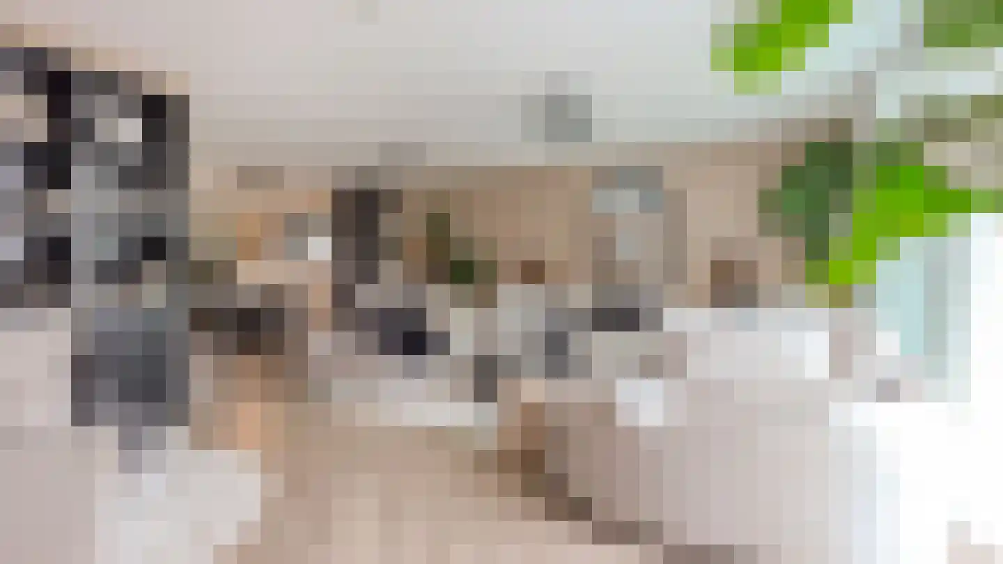 Willem Maarsehof 33 Rijsenhout thumbnail 6