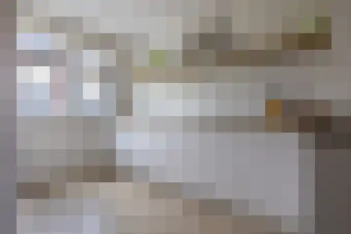 Willem Maarsehof 47 Rijsenhout thumbnail 17