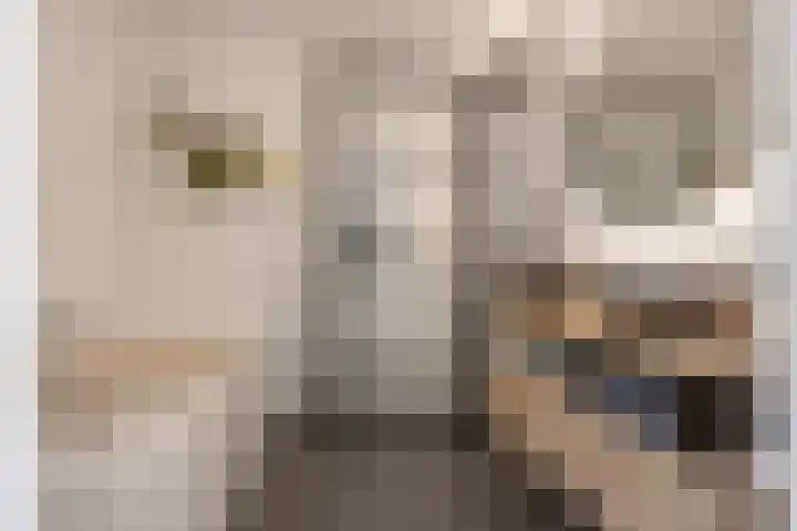 Willem Maarsehof 47 Rijsenhout thumbnail 29