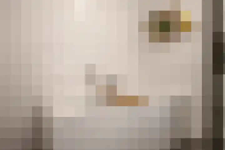 Willem Maarsehof 47 Rijsenhout thumbnail 31