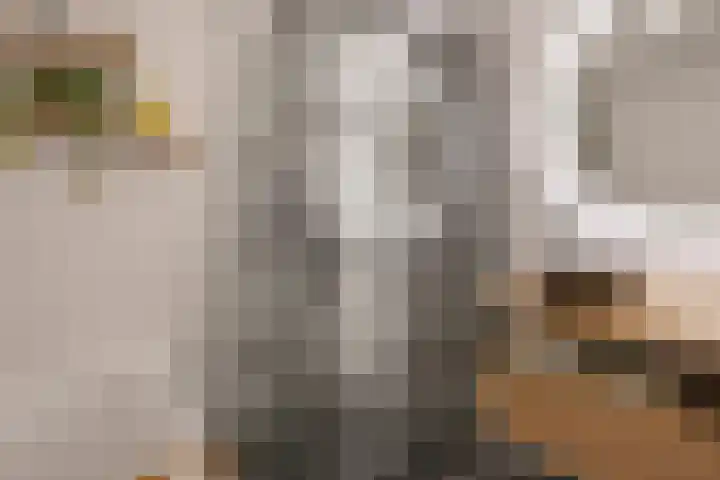 Willem Maarsehof 47 Rijsenhout thumbnail 32