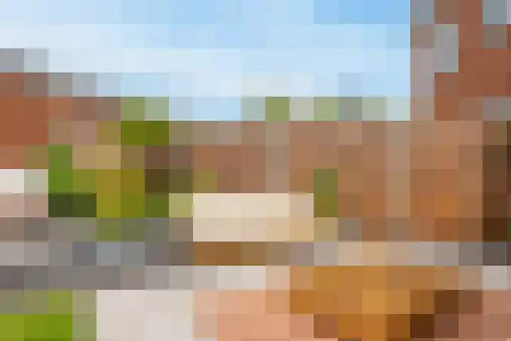 Willem Maarsehof 47 Rijsenhout thumbnail 38