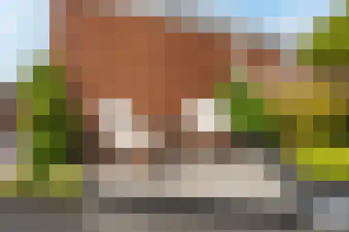 Willem Maarsehof 47 Rijsenhout thumbnail 39