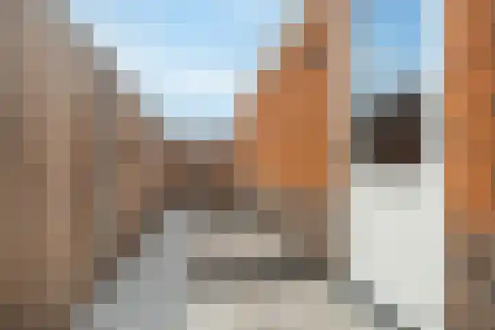 Willem Maarsehof 47 Rijsenhout thumbnail 43