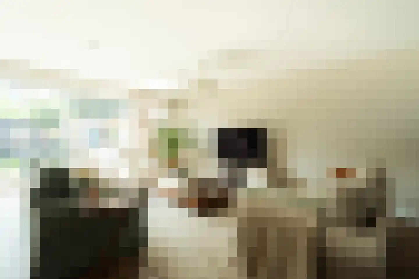Willem Maarsehof 9 Rijsenhout thumbnail 11
