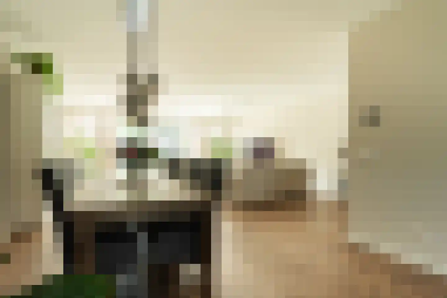 Willem Maarsehof 9 Rijsenhout thumbnail 14