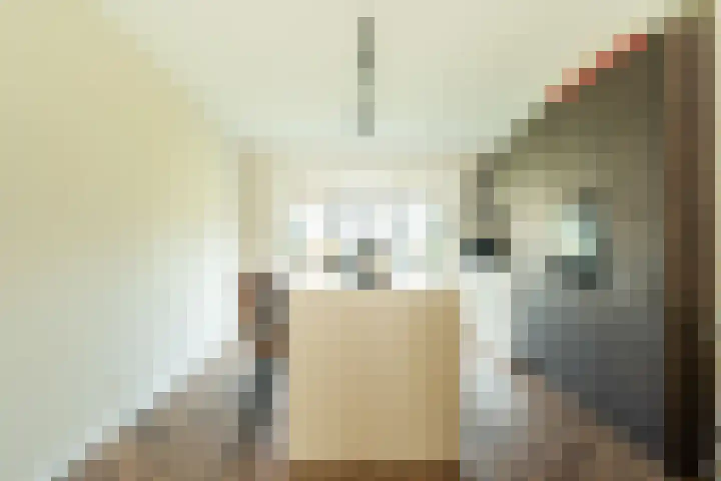 Willem Maarsehof 9 Rijsenhout thumbnail 18