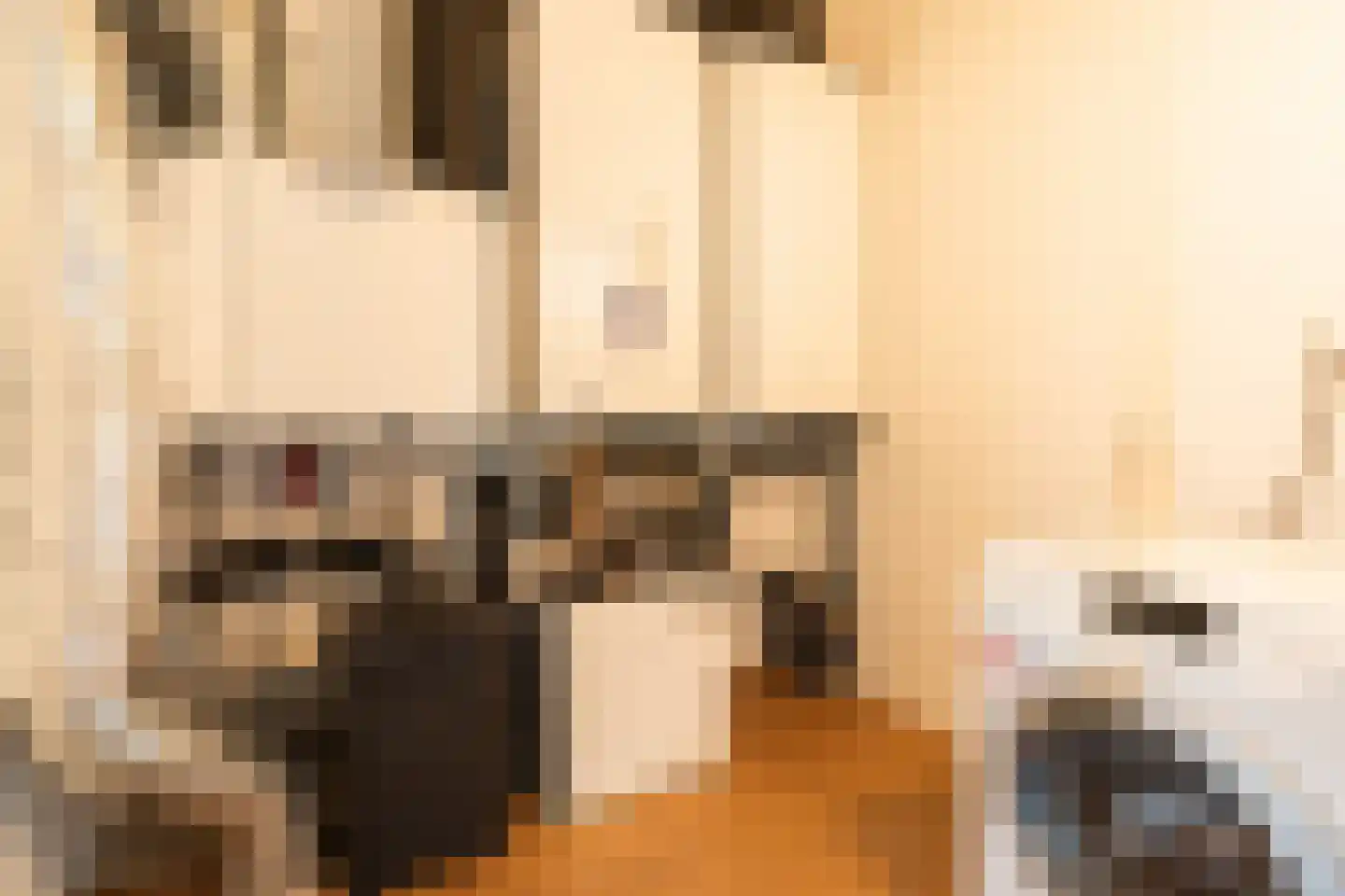Willem Maarsehof 9 Rijsenhout thumbnail 48