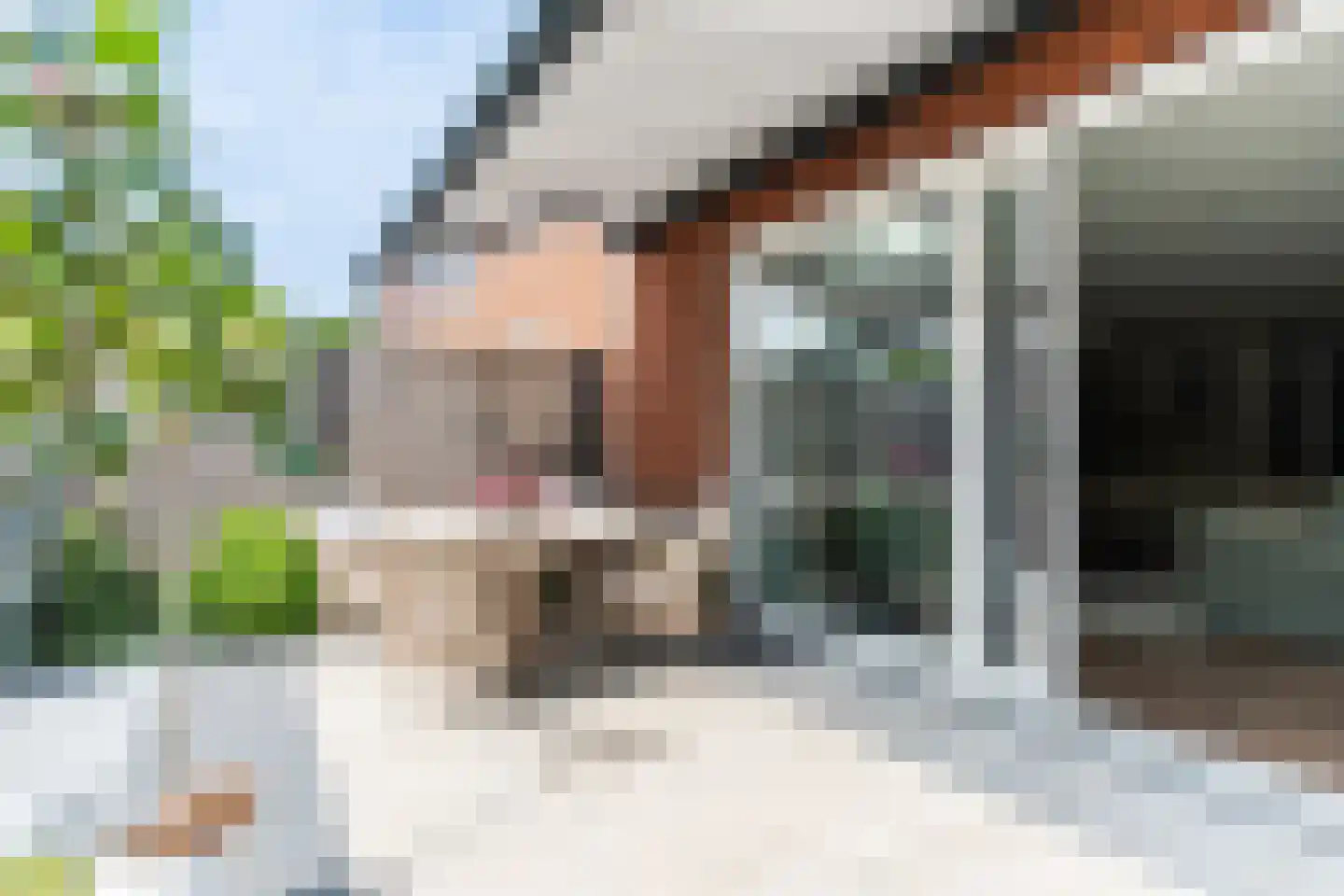Willem Maarsehof 9 Rijsenhout thumbnail 57