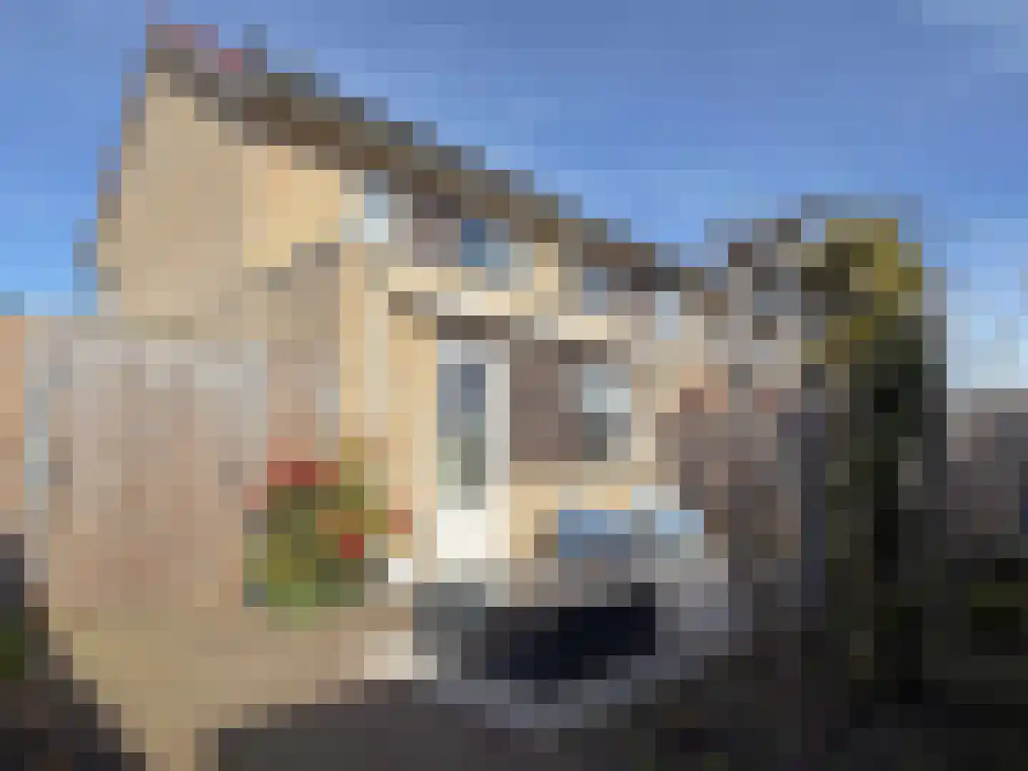 Willem Mantelstraat 37 Coevorden thumbnail 14