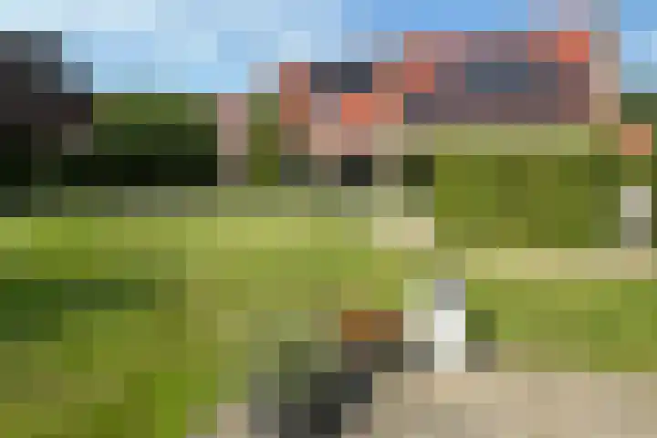 Willem Mantelstraat 39 Coevorden thumbnail 12