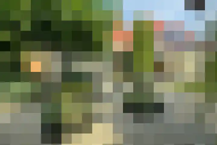 Willem Mantelstraat 39 Coevorden thumbnail 18