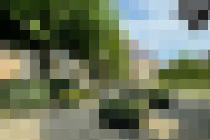 Willem Mantelstraat 39 Coevorden thumbnail 19